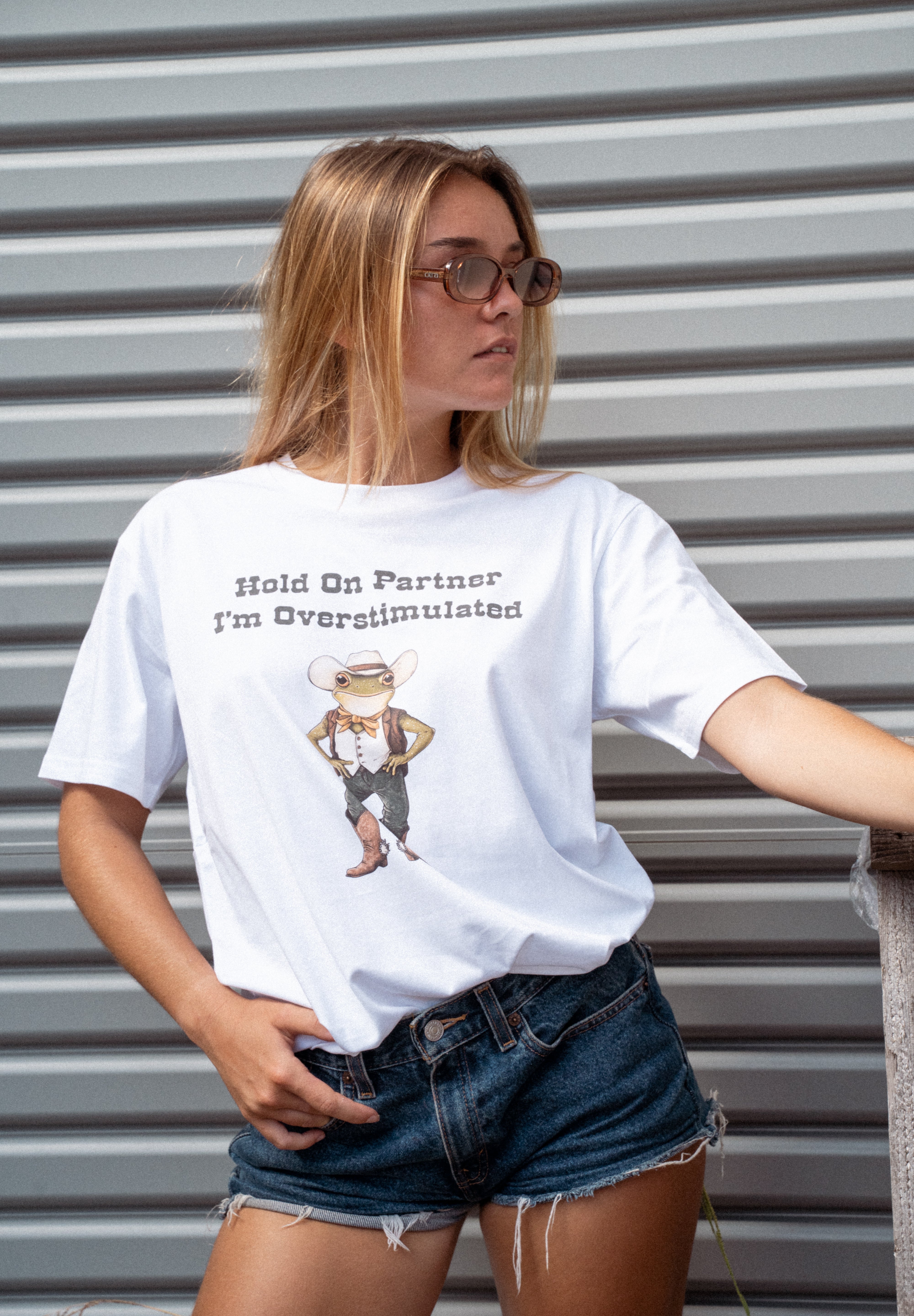 Dr.Moose T-Shirt Hold On Partner, I'm Overstimulated T-Shirt